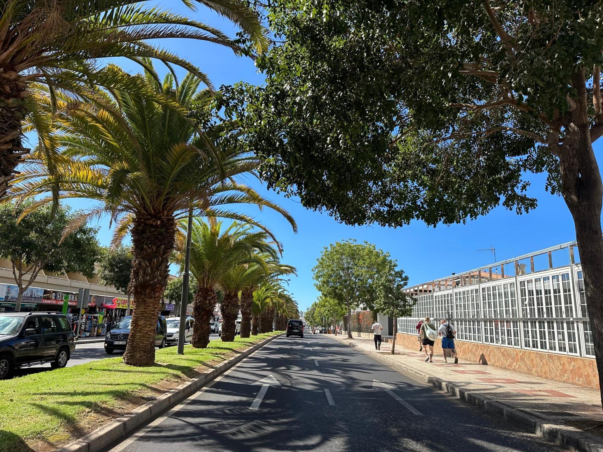 Apartment In Ocean Park Ii, Costa Adeje, Tenerife 外观 照片